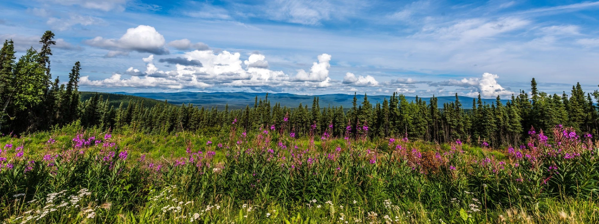 Everything You Need to Know About Fairbanks, Alaska