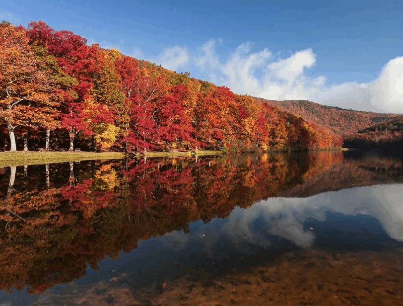 Why Fall Is the Best Season for a Nature Getaway