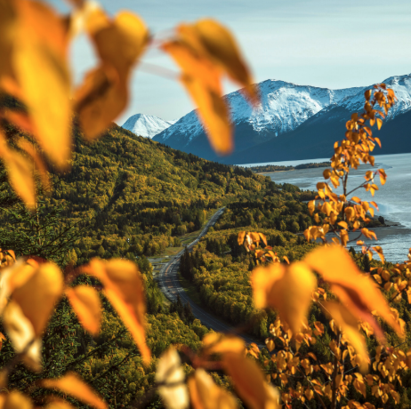 Where Summer Meets Fall: The Magic of August in Fairbanks