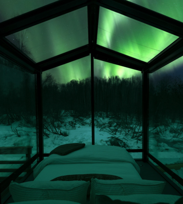 Your Wilding Escape, Any Season