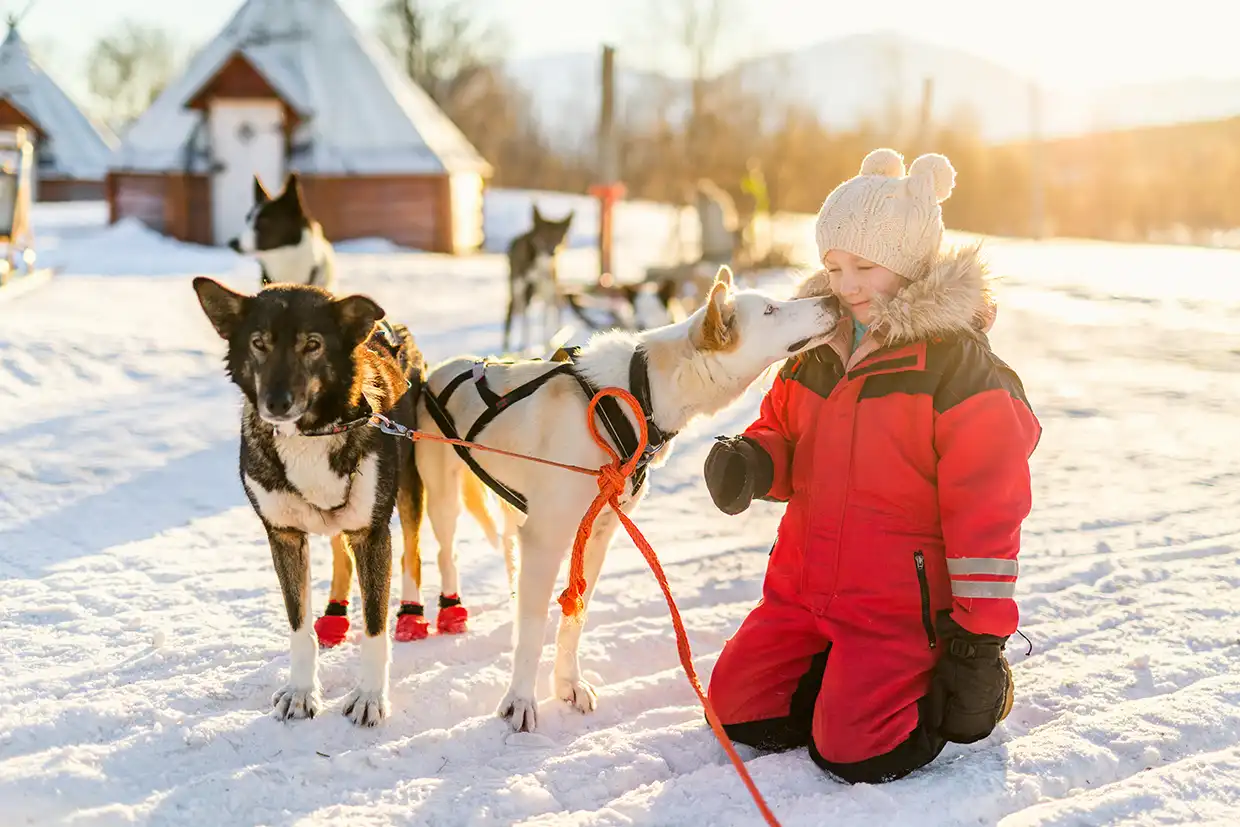 Child in a red snowsuit kneeling in the snow beside harnessed sled dogs, one leaning toward them
