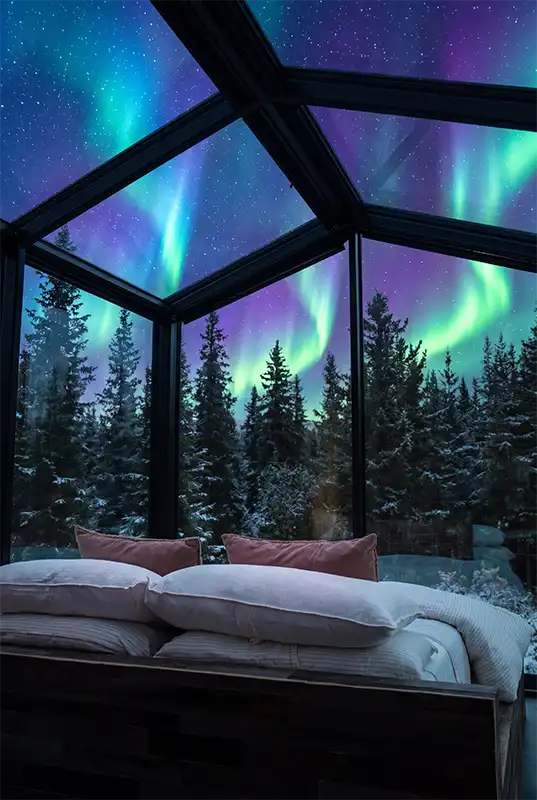 Bed with white bedding and pink pillows under a glass-roofed cabin, snowy pines and green and purple aurora beyond the windows.