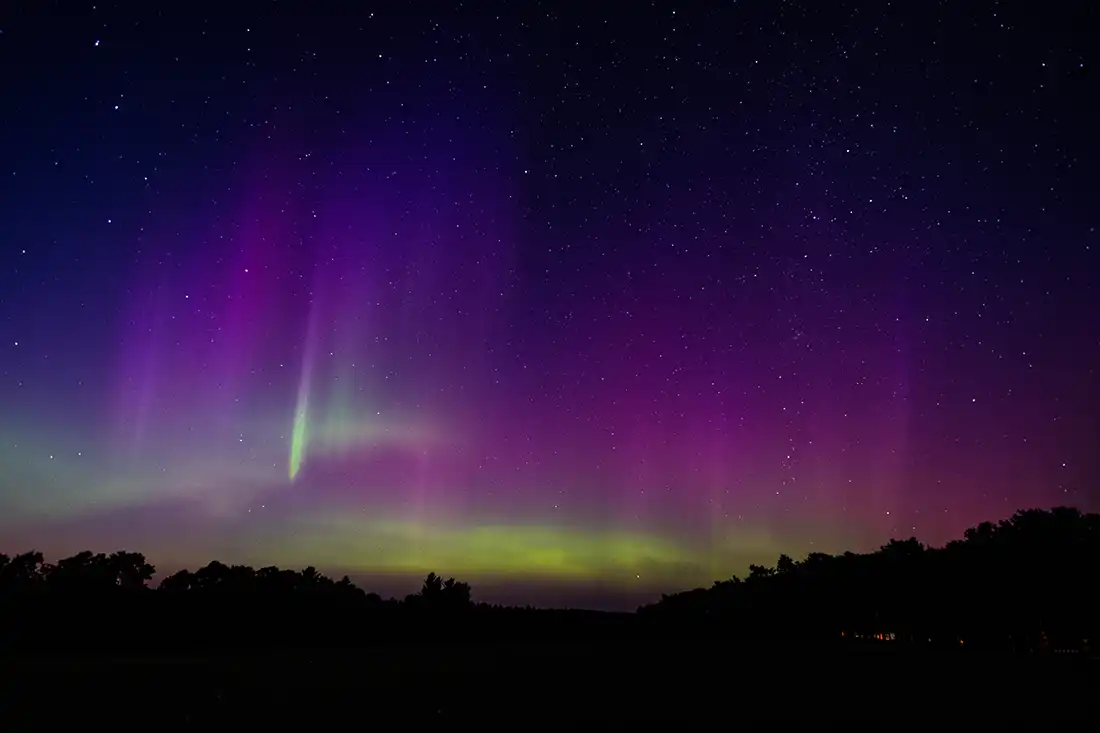 Purple and green aurora borealis filling a star-filled night sky above a dark silhouetted treeline.