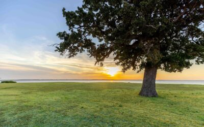 Quiet Fall Getaway Near Dallas | Wilding Lake Tawakoni